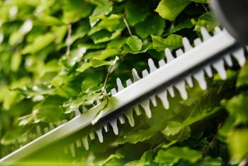 EasyCut akkumulátoros sövénynyíró  akkumulátorral 55/18V 4.Kép