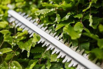 EasyCut akkumulátoros sövénynyíró  akkumulátor nélkül 45/18V 4.Kép