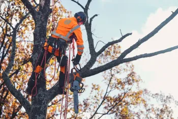 550i XP akkumulátoros láncfűrész  (csak gép) 9.Kép