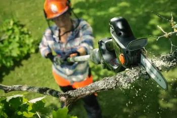 Aspire P8X-P4A akkumulátoros magassági ágvágó fűrész  (csak gép, szárral) 7.Kép