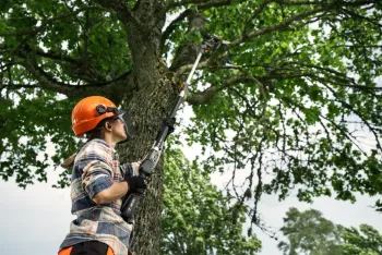 Aspire P8X-P4A akkumulátoros magassági ágvágó fűrész  (csak gép, szárral) 9.Kép